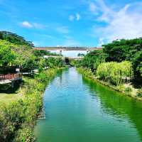 Nature In The City, Punggol Park