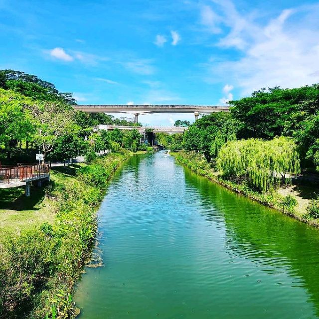 Nature In The City, Punggol Park