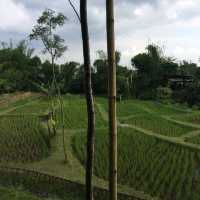 Yogyakarta - More than just a city! 