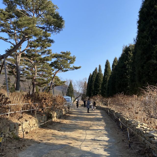 강화도 베이커리카페 추천 ‘마호가니’