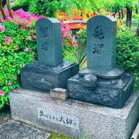 京都　異界への入口で龍神の棲み処