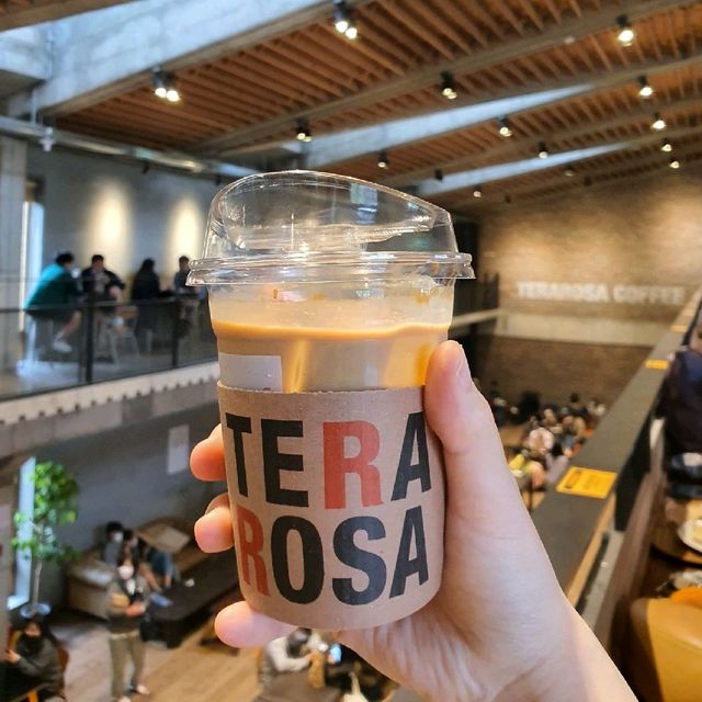강릉 한 번 가볼만한 카페 '테라로사