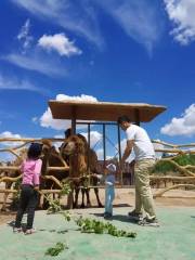 榆林野生動物園