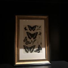 Café Gray Deluxe User Photo