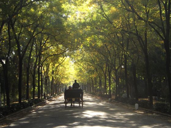 Huaxi Shijie Tanxian Park