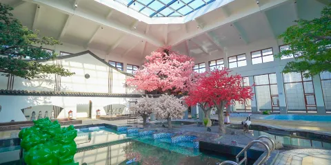 連雲港灌雲伊水溫泉門票成人