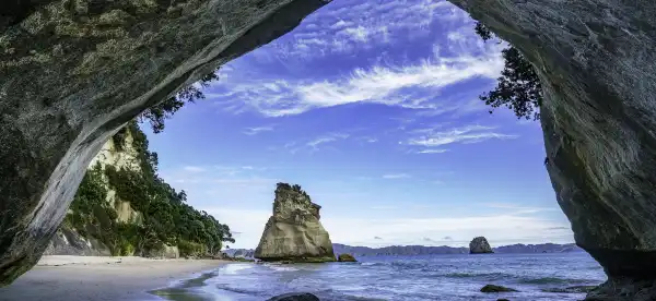 Hotels in Coromandel