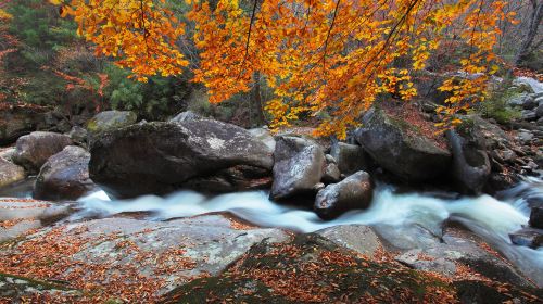 Yunwu Mountain Scenic Area