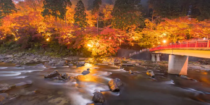 リクエスト専用 銀杏 イチョウ 秋夜 猫 5個セット 軽井沢個人旅行