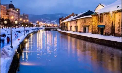 Otaru Snow Light Path