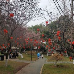 桃花岛休闲庄 User Photo