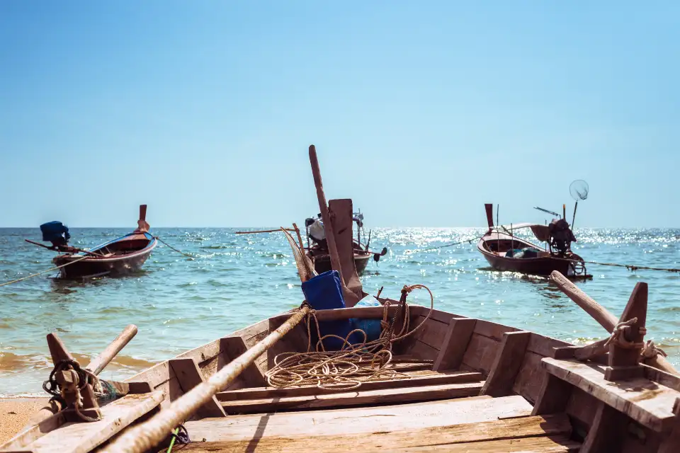 4_Monkey Beach