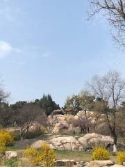 베이징 산 생태 공원