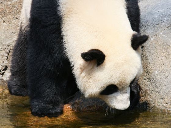 アデレード動物園