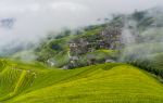 Longji Dazhai Terraces