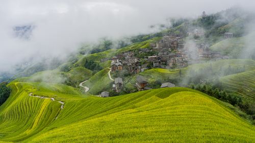 Longji Dazhai Terraces