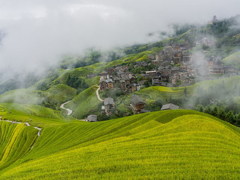 Longji Dazhai Terraces