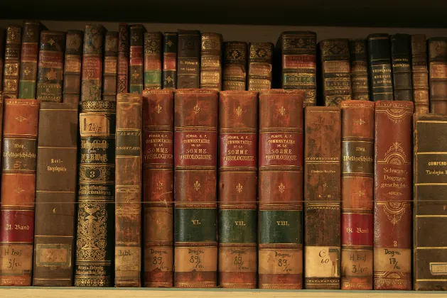 Отзывы об отеле Dolphin SA1