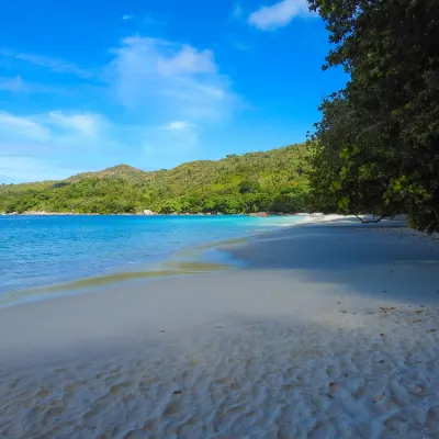 Hotels near Snake Island