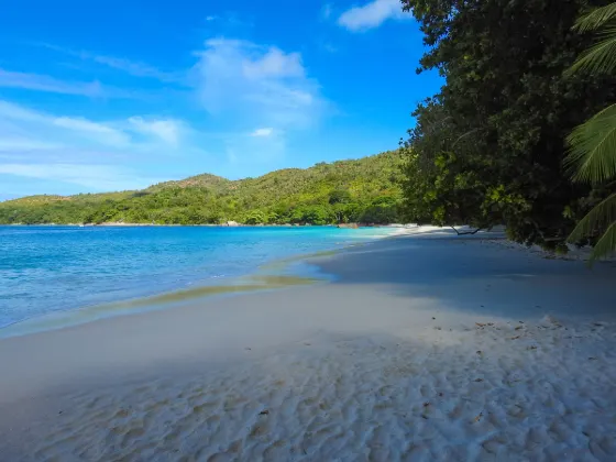 Vé máy bay El Nido TP. Hồ Chí Minh