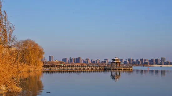 櫻花湖體育公園