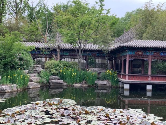 Bailang Oasis Wetland Park
