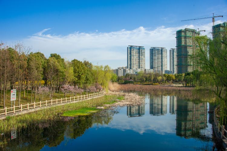 金匮公园景点图片