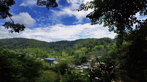 Mengla