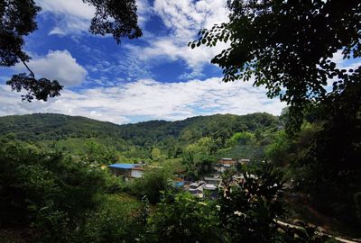 Yiwugucha Mountain