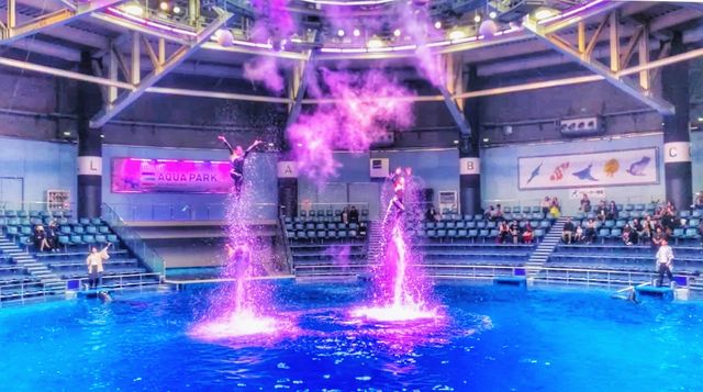 【唔止水族館咁簡單｜融合燈光、聲音及影像特色水族館】