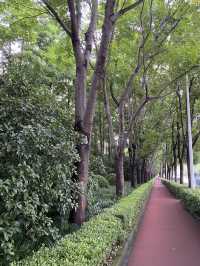 Jingnan Park in Nanyangjing Road