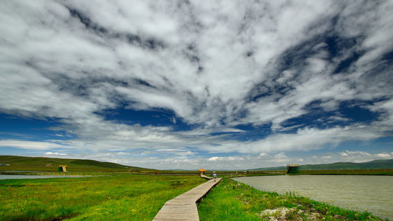 Riganqiao Everglades