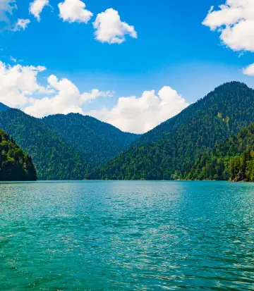Lake Forest