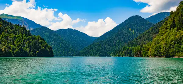 Lake Forest