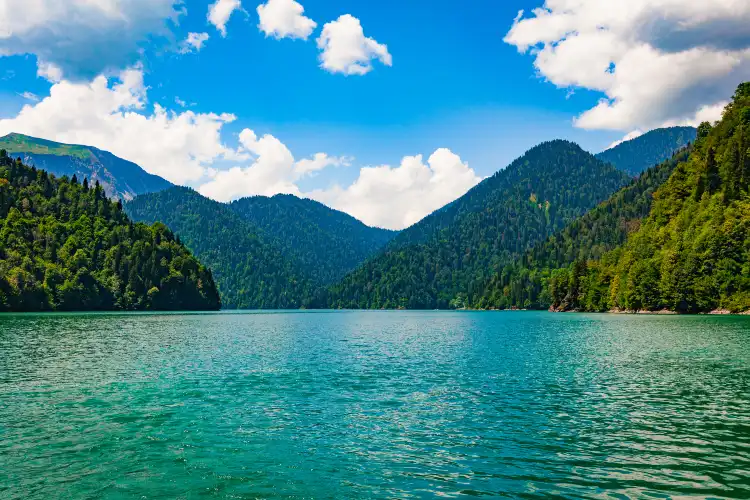 Lake Forest