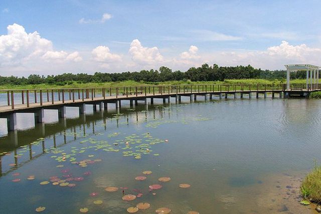 天水圍好去處  濕地公園