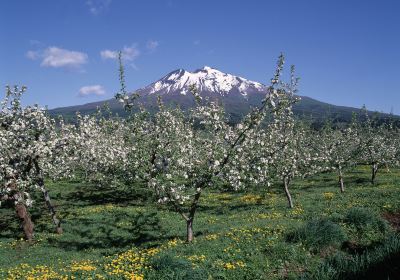 Hirosaki