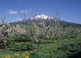 Hotel Sunroute Aomori