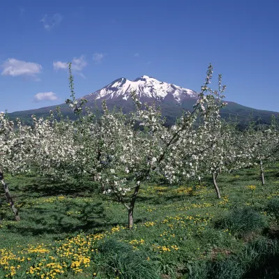 ホテル森の風立山 口コミ