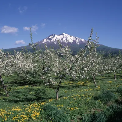 Vé máy bay giá rẻ của Condor đi Aomori