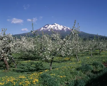 Hirosaki