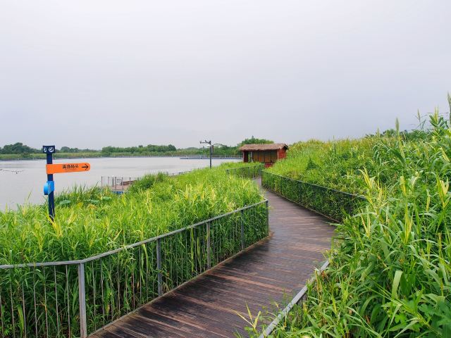 德清下渚湖濕地公園
