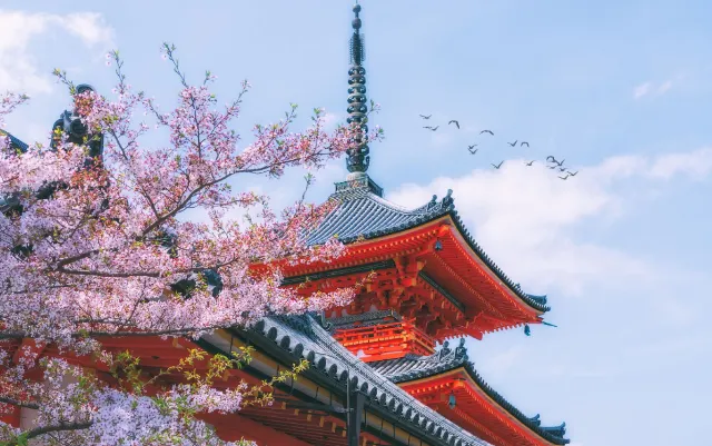 京都の観光ガイドブック！京都観光ならここで決まり