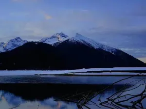 Cuo Mu Ji Ri