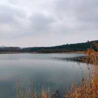Attractive natural lake and park