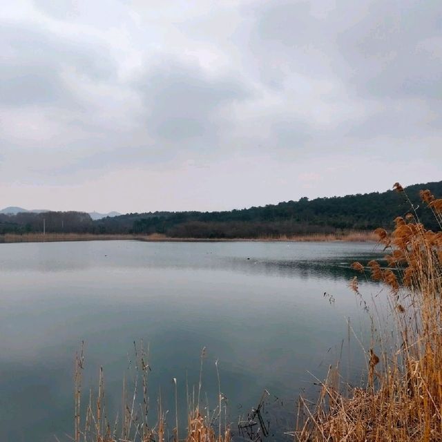 Attractive natural lake and park
