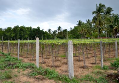 Coimbatore