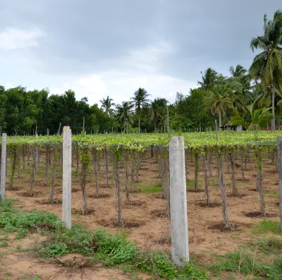 Hoteles en Coimbatore