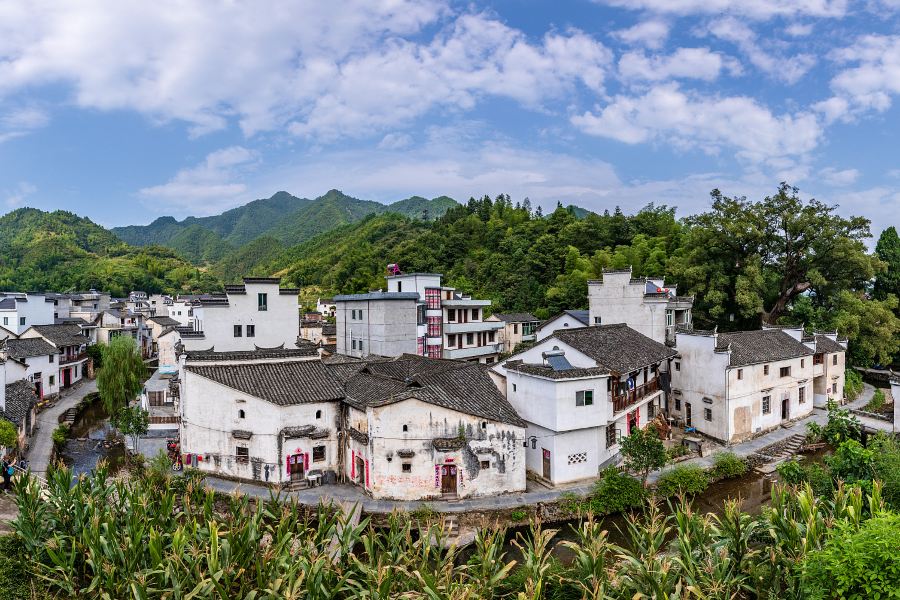 芹川古村