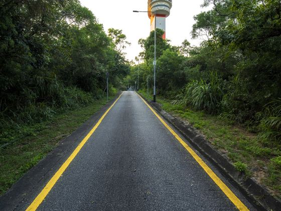 Taipa Grande Natural Park